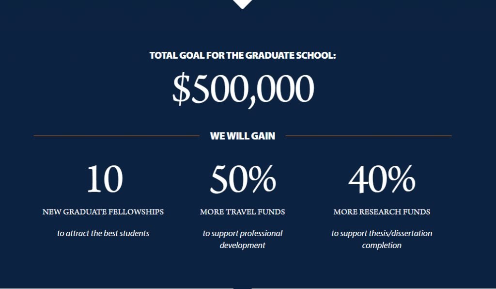 Campaign goal 500K, 10 fellowships, 50% more travel funds, 40% more research funds